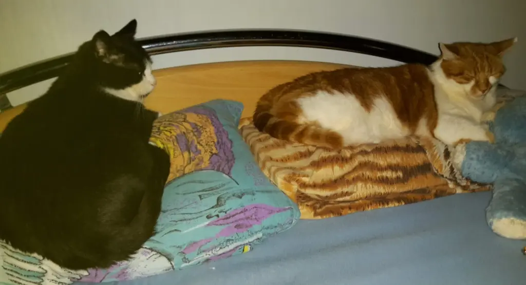 Condolence image of ❤️183 Wo❤️Deine Mami und deine Ömi ❤️