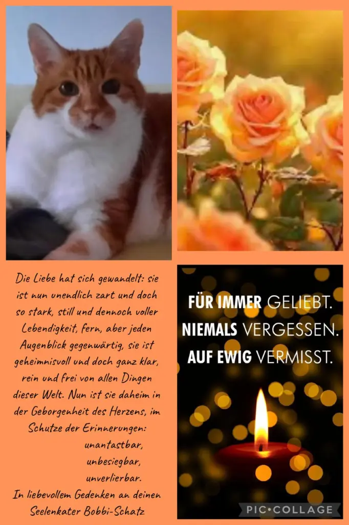 Condolence image of ❤️44 Mo❤️Deine Mami und deine Ömi ❤️