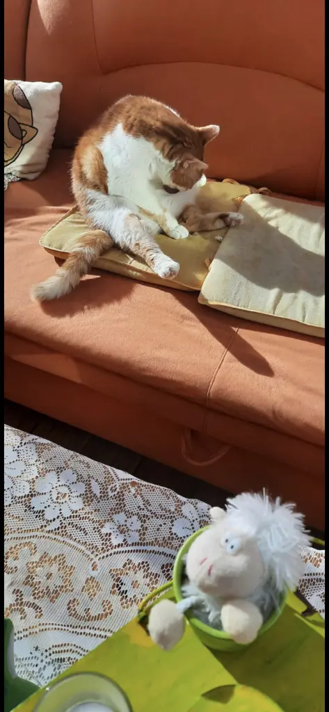 Condolence image of ❤️192 Wo❤️Deine Mami und deine Ömi ❤️
