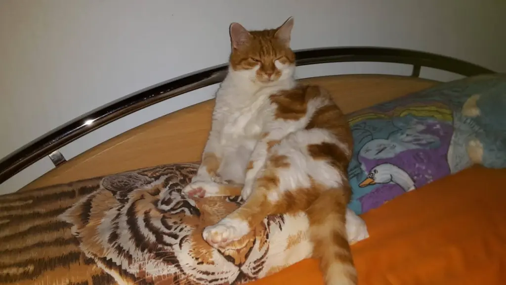 Condolence image of ❤️305 Wo❤️Deine Mami und deine Ömi ❤️