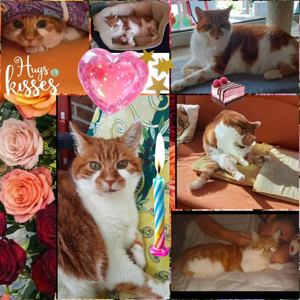Condolence image of ❤️4. Sternchengeburtstag ❤️ Deine Mami und deine Ömi ❤️