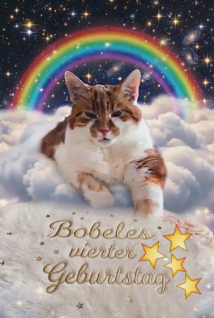 Condolence image of In liebevollem Gedenken💖 an Bobele zum 4.✨Gedenkjahr