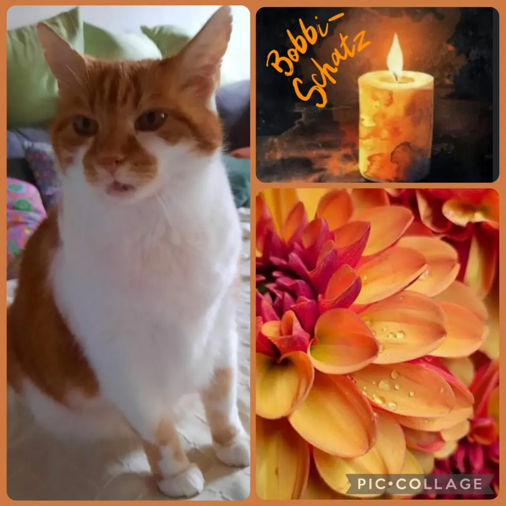 Condolence image of ❤️49 Mo❤️Deine Mami und deine Ömi ❤️