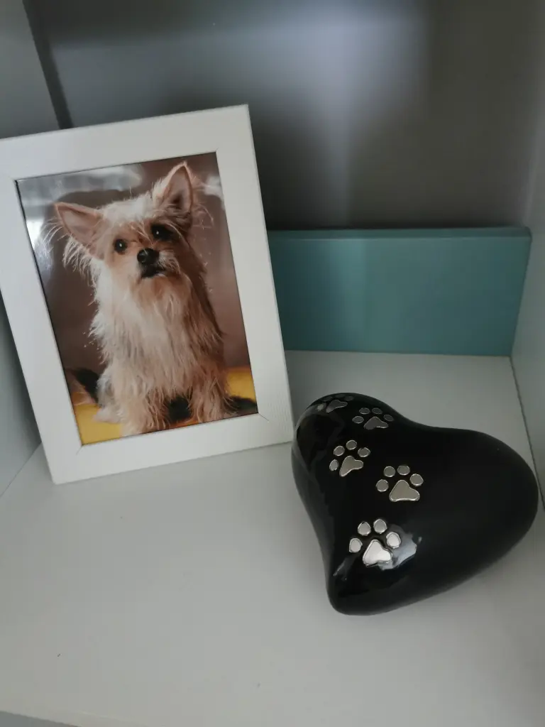 Condolence image of Unbekannt