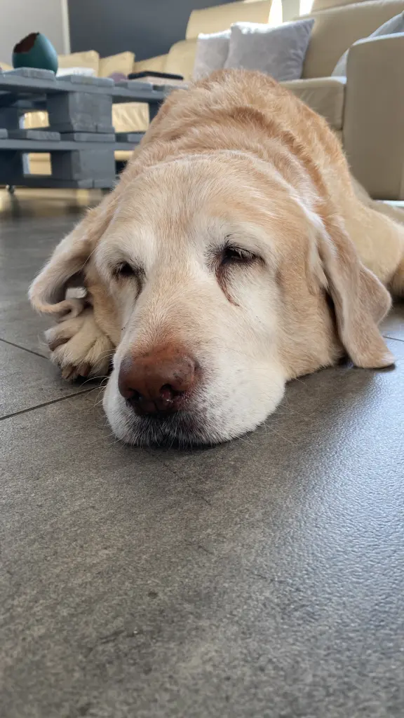 Image from Sheila