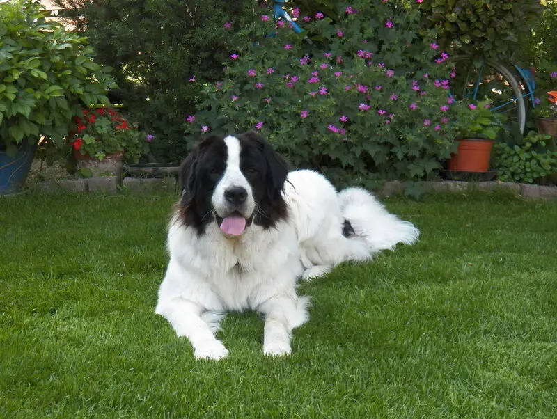 Bild von Sina