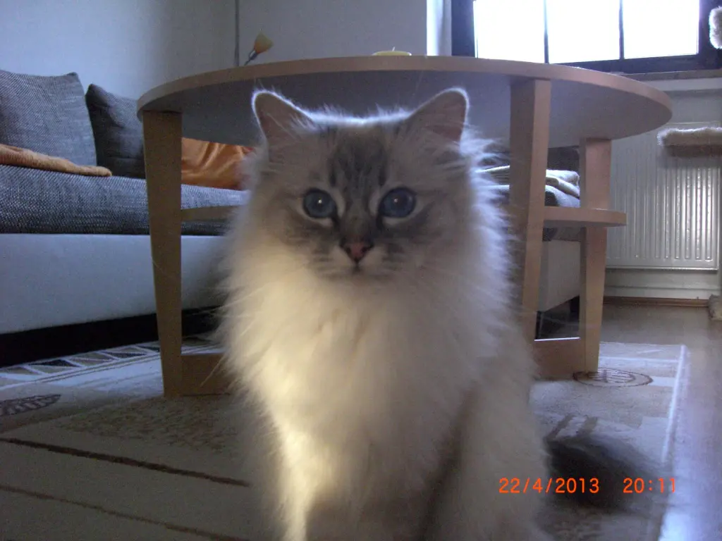 Image from Tamee
