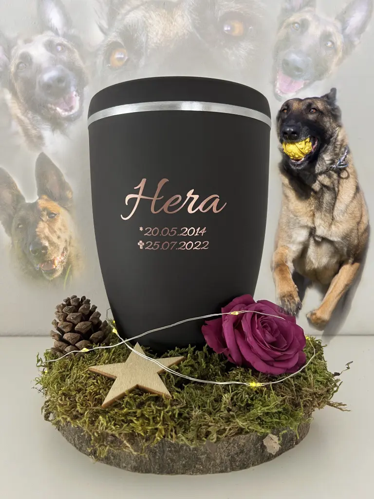 Image from Hera
