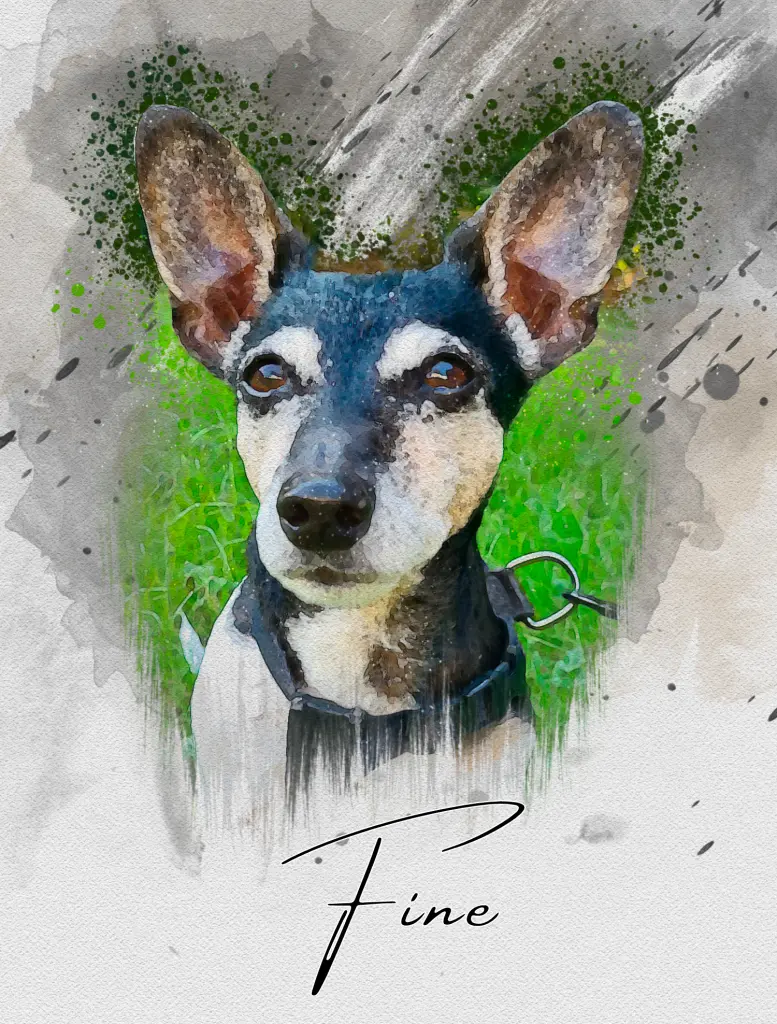 Image from Fine