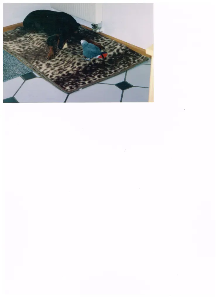 Andachtsbild von Rüdiger Schorr