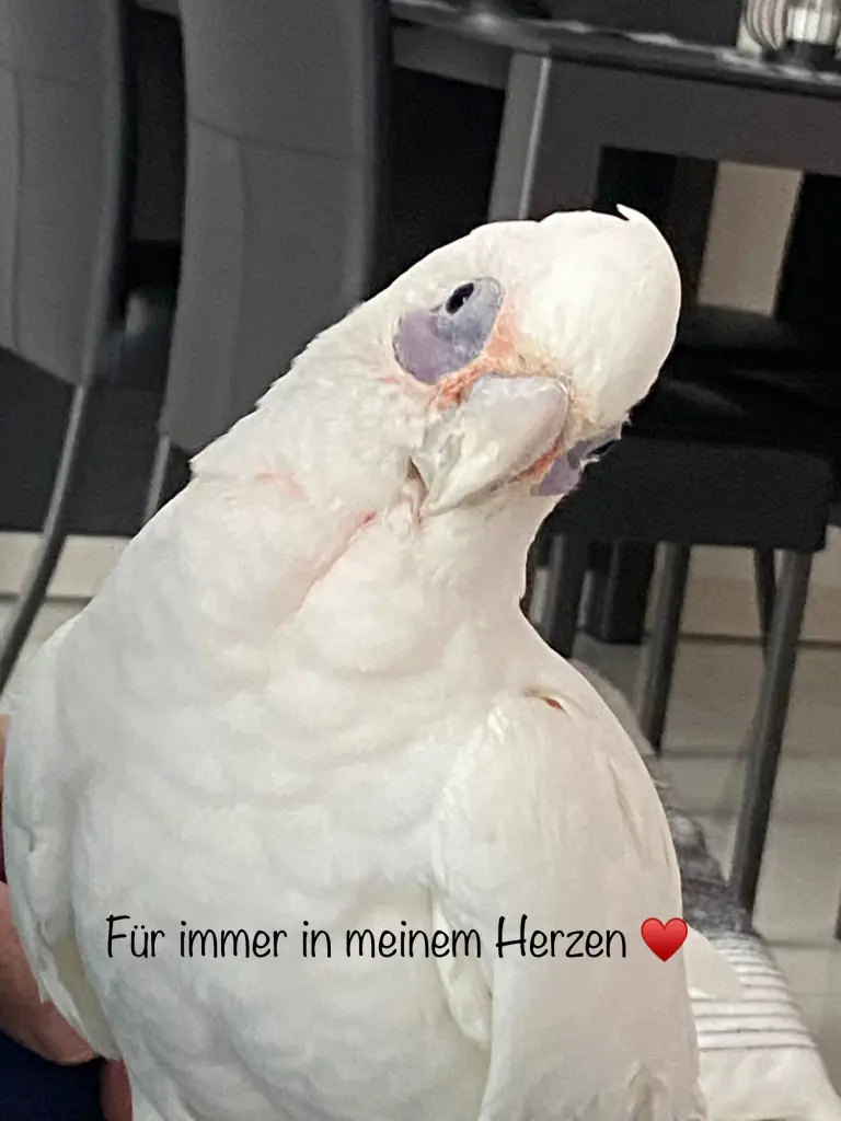 Andachtsbild von Andrea mit Püppi im Herzen