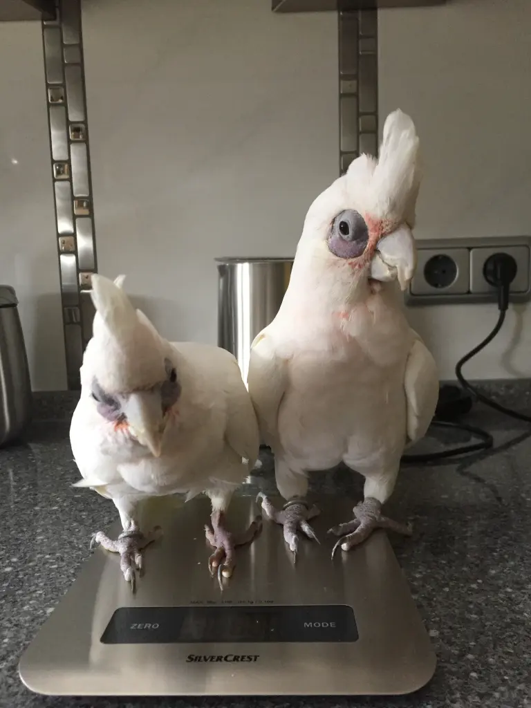 Andachtsbild von Andrea mit Püppi im Herzen 