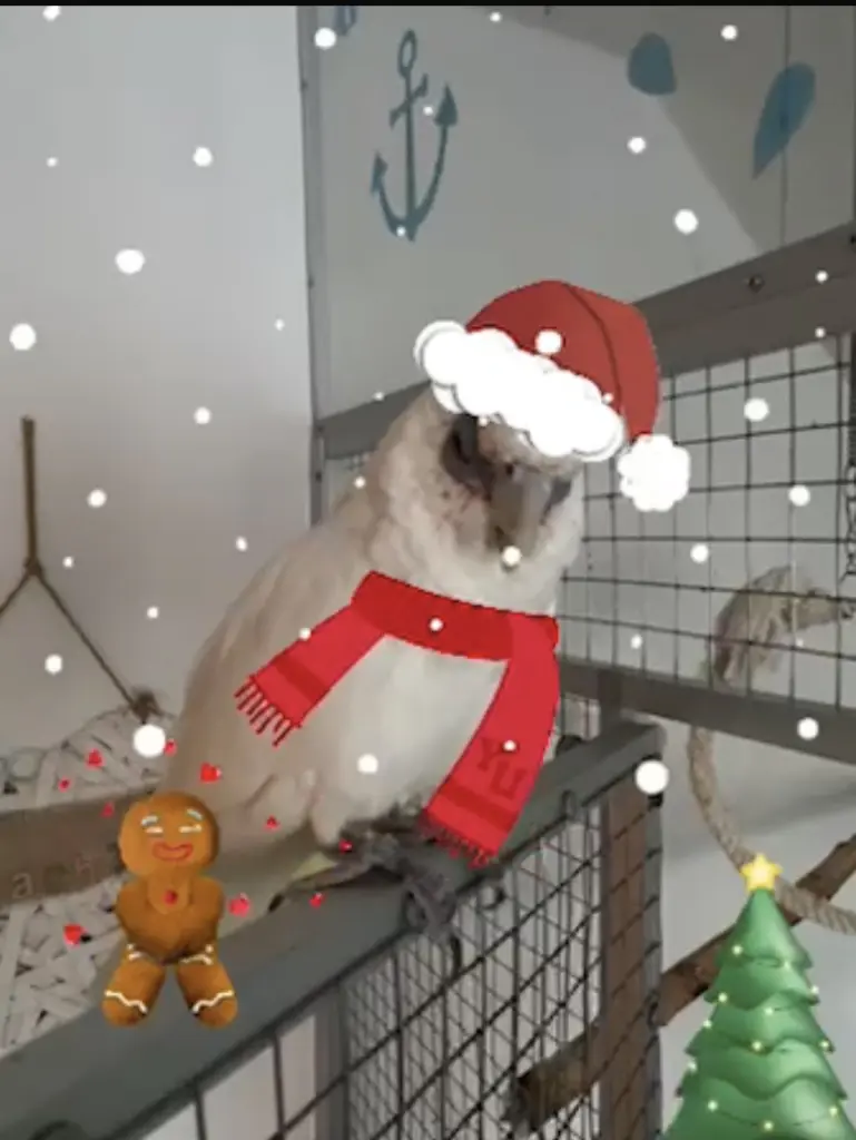 Andachtsbild von Andrea