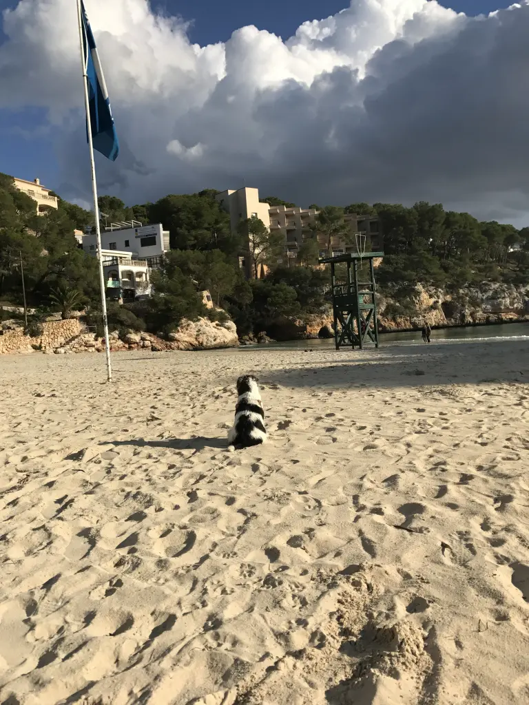 Image from Angel