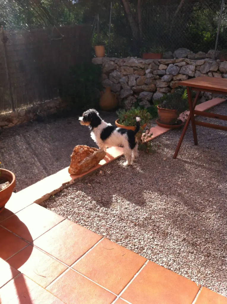 Image from Angel