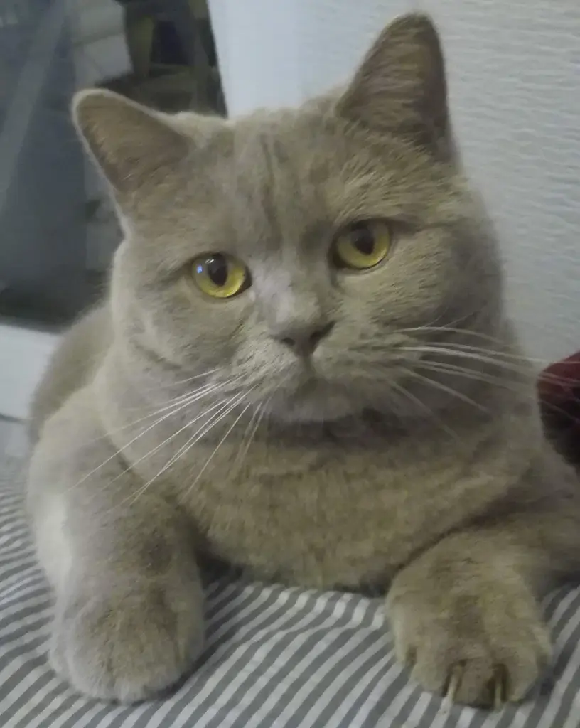 Condolence image of Sabine