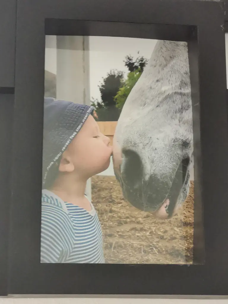 Condolence image of Katja