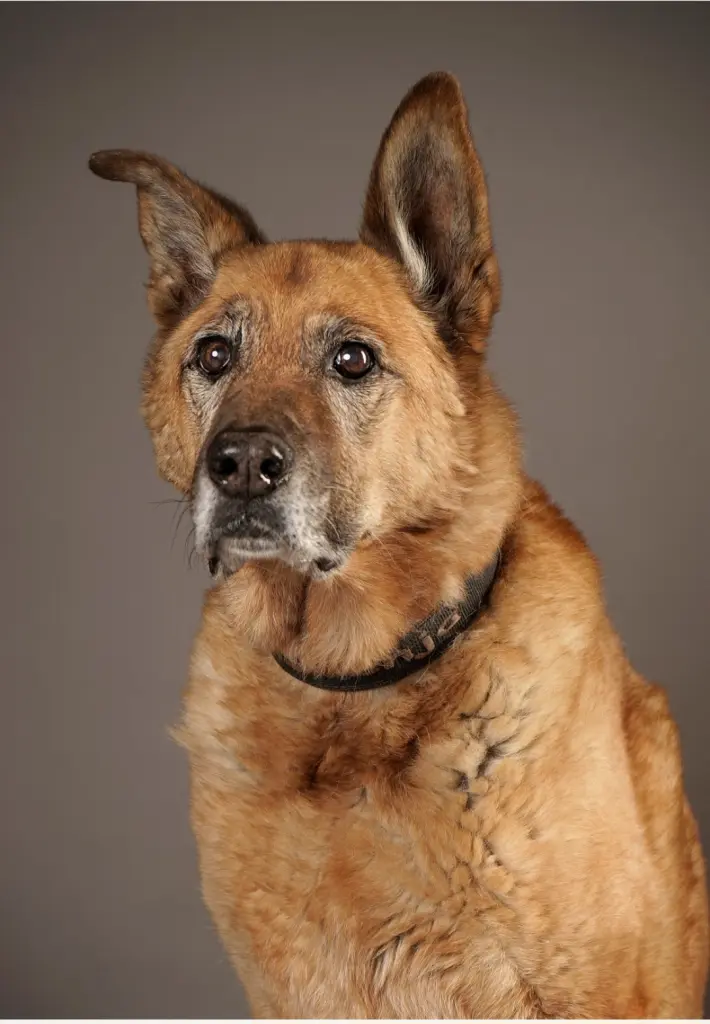 Condolence image of Angela Burkhardt