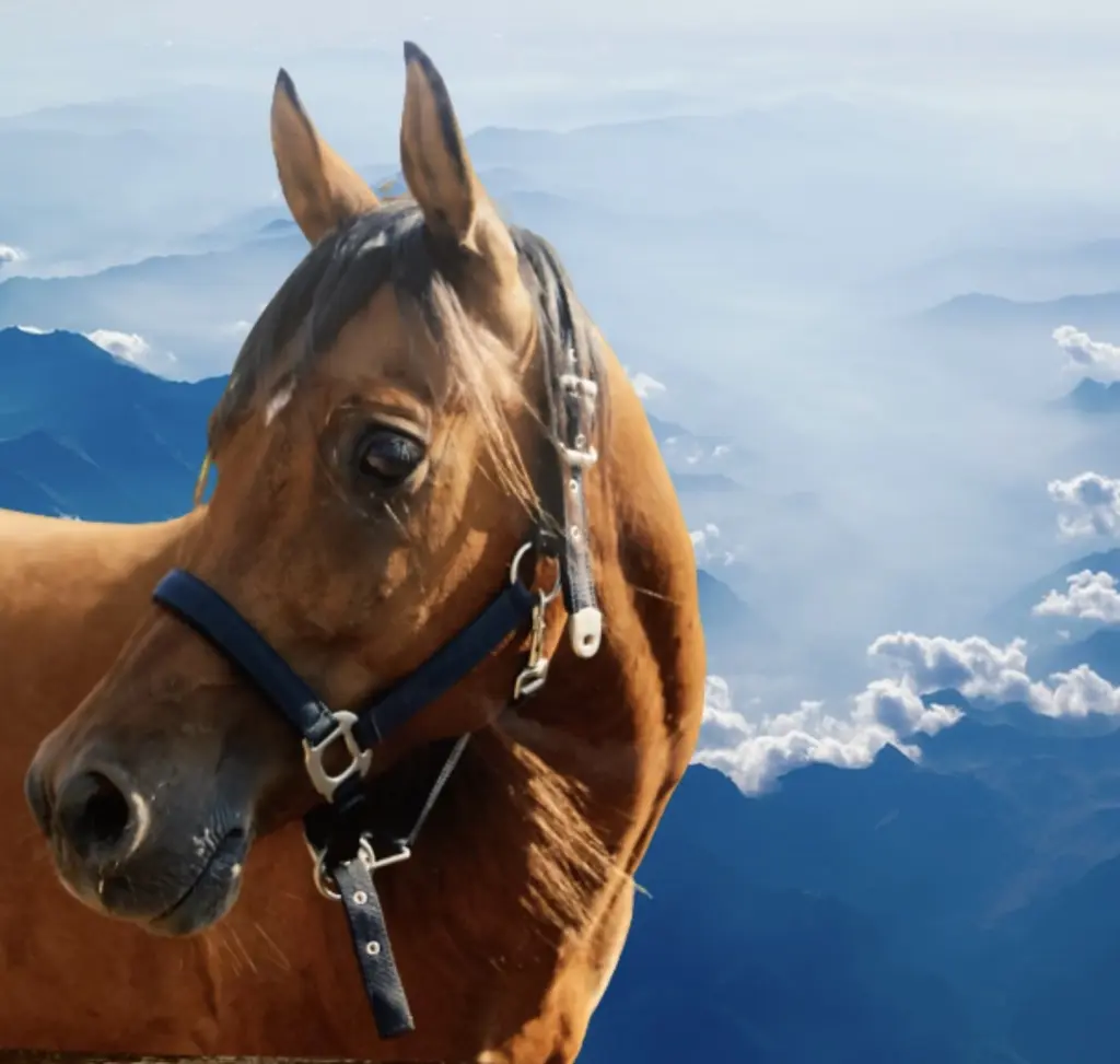 Andachtsbild von Christine 