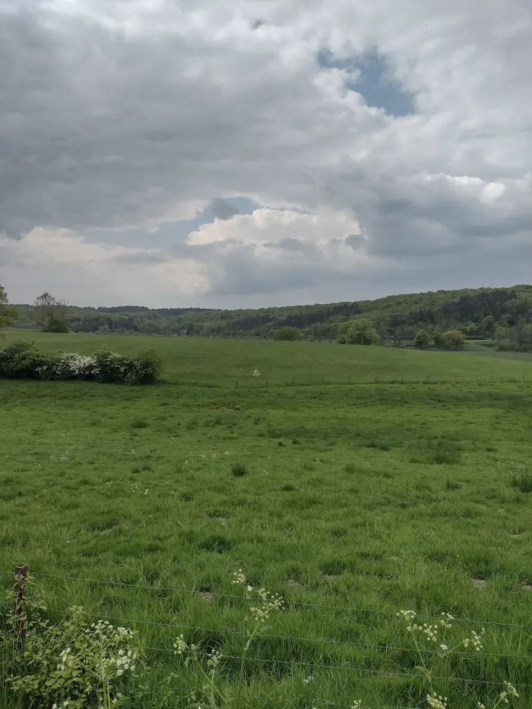 Andachtsbild von Corinna mit Emma, Pummelchen und anderen Sternlein im ❤️