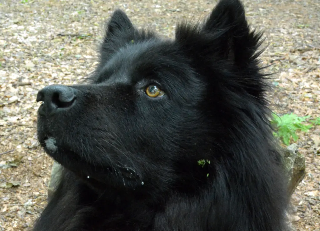 Condolence image of Ingrid