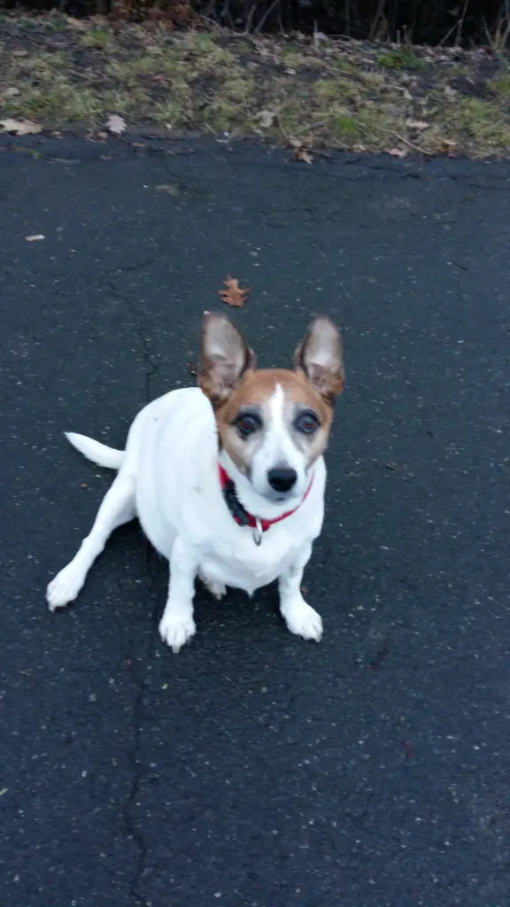 Image from Kessy