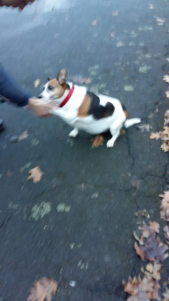 Image from Kessy