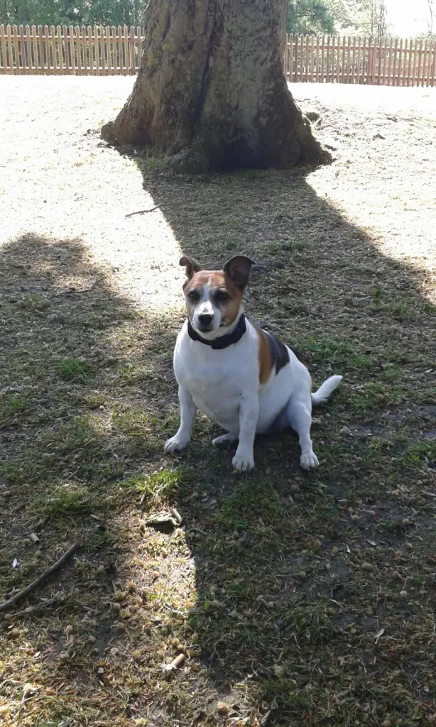 Image from Kessy