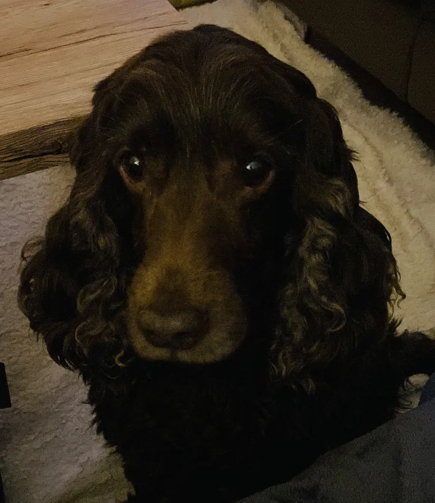 Andachtsbild von Kerstin