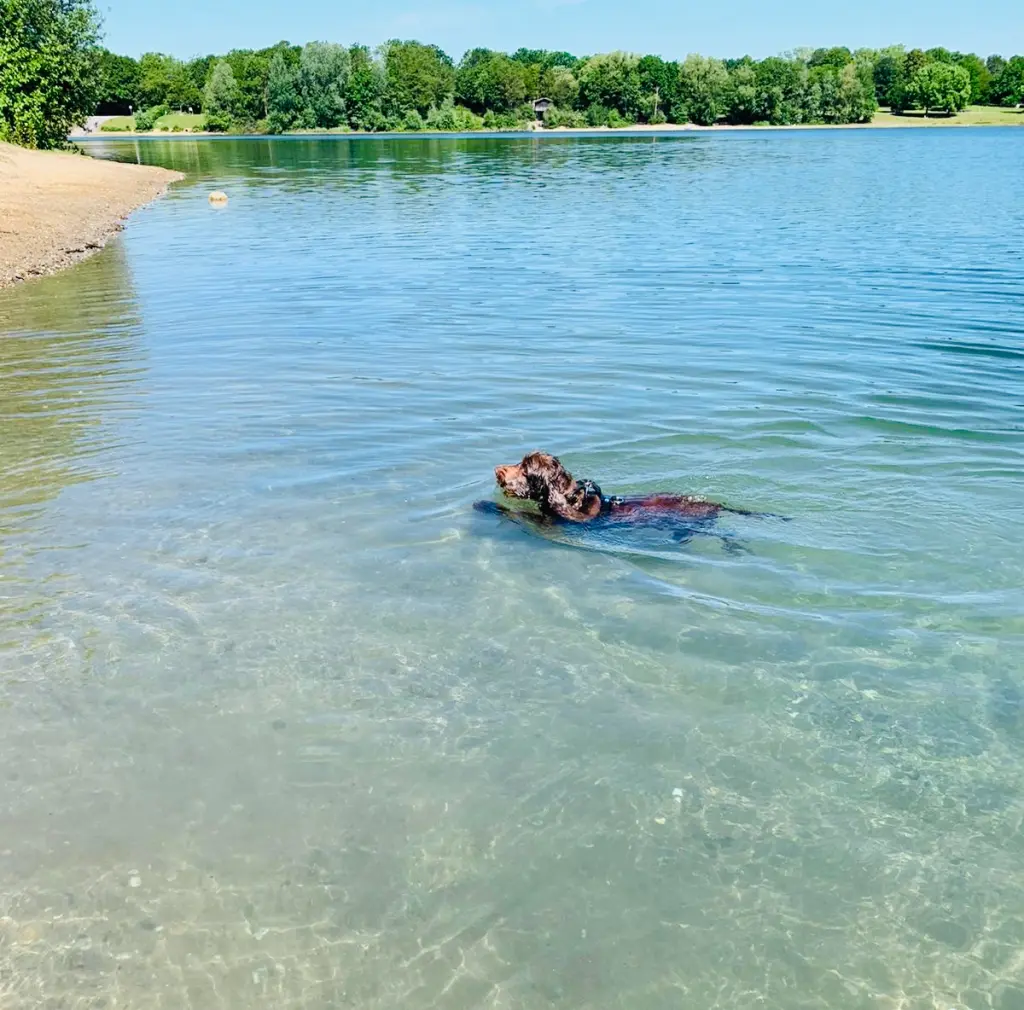 Andachtsbild von Kerstin