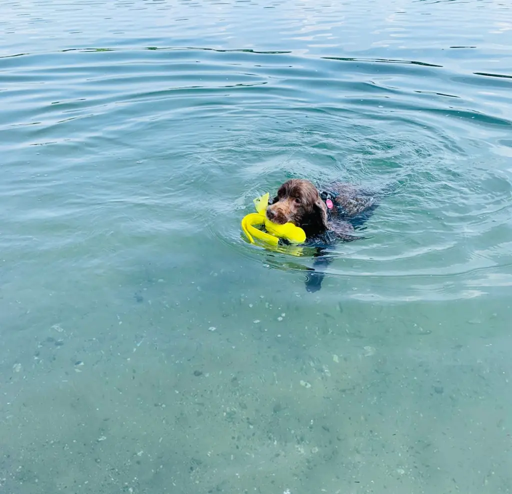 Andachtsbild von Kerstin