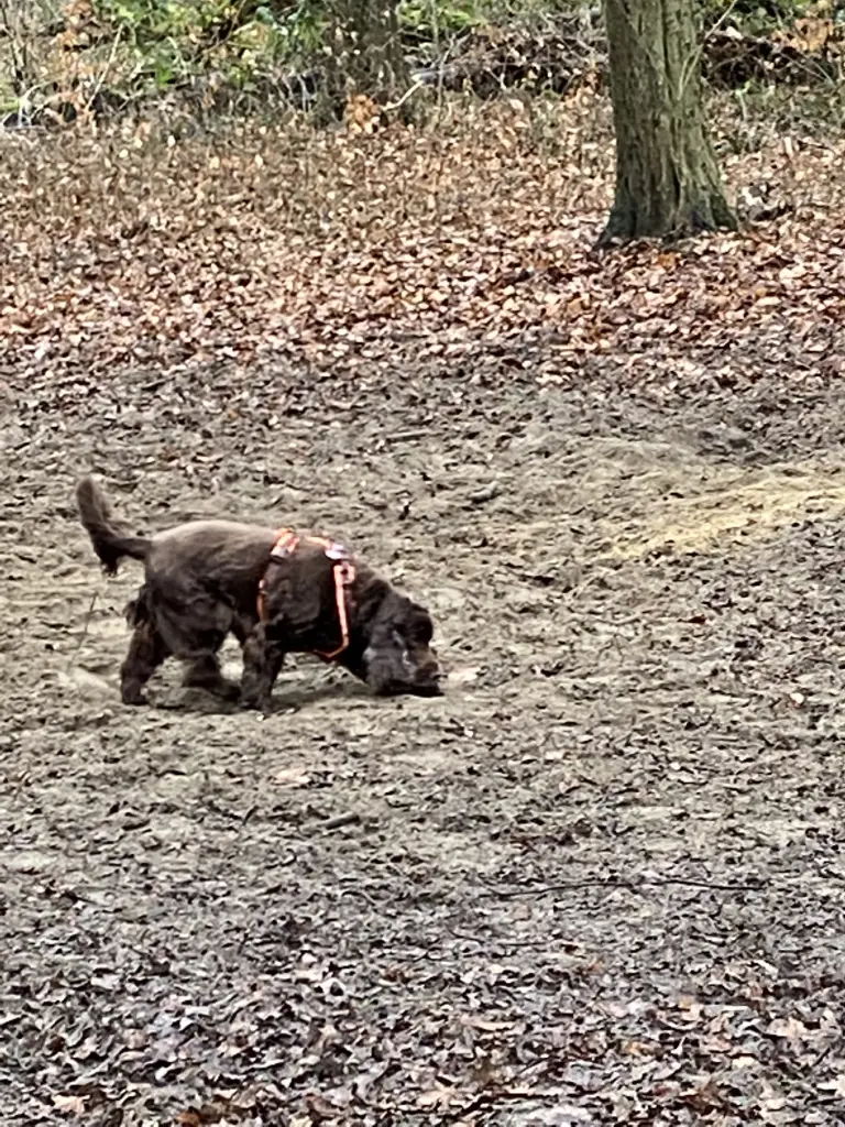 Andachtsbild von Kerstin