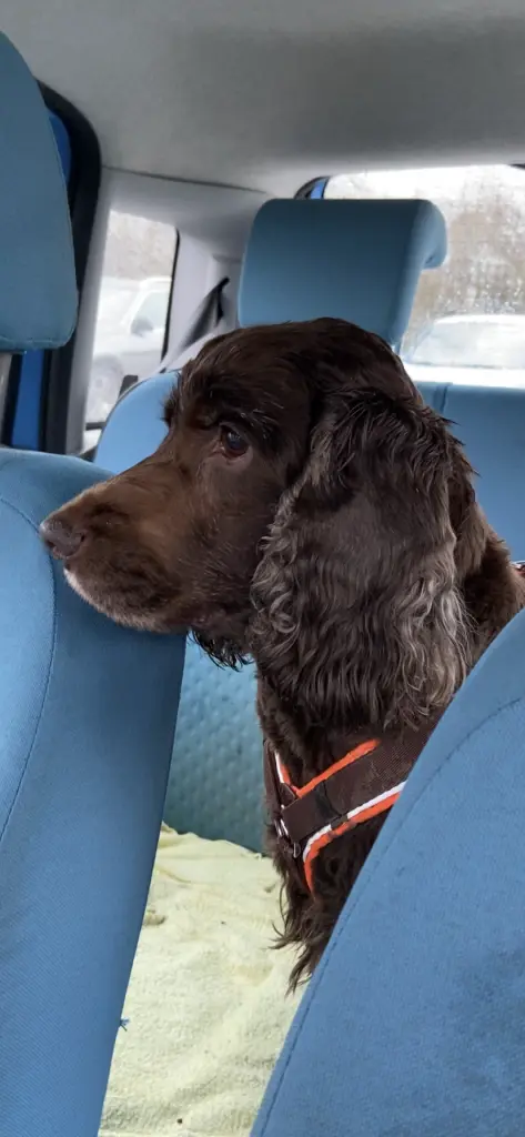 Andachtsbild von Kerstin mit Linus