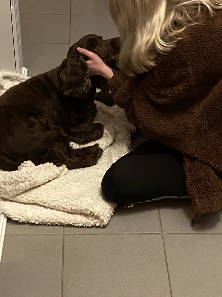 Andachtsbild von Kerstin, sehr traurig