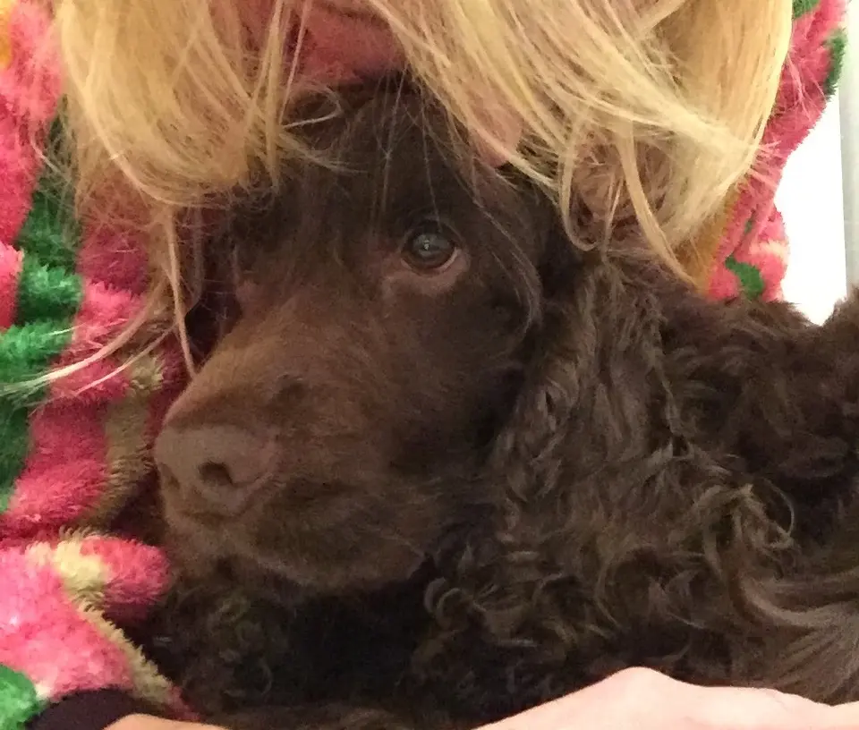 Andachtsbild von Für mein Linus