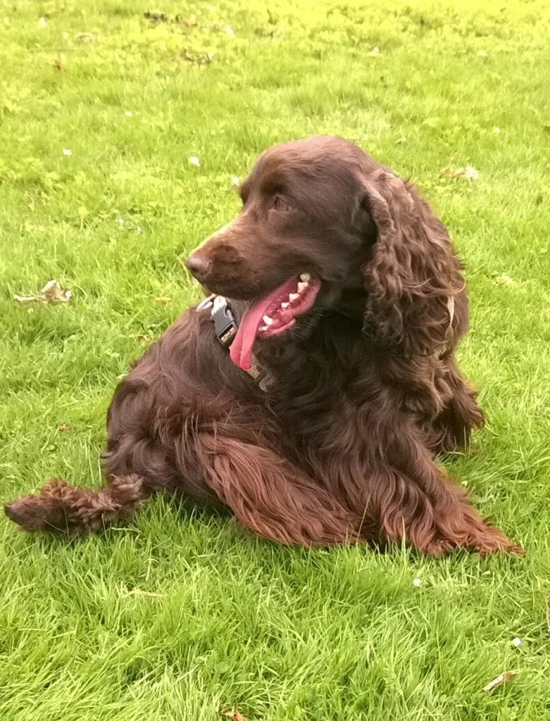 Andachtsbild von Für dich, mein Herz 