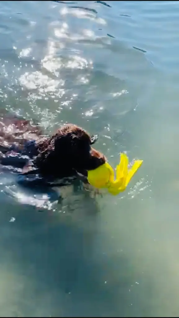 Andachtsbild von Für dich, mein Herz 