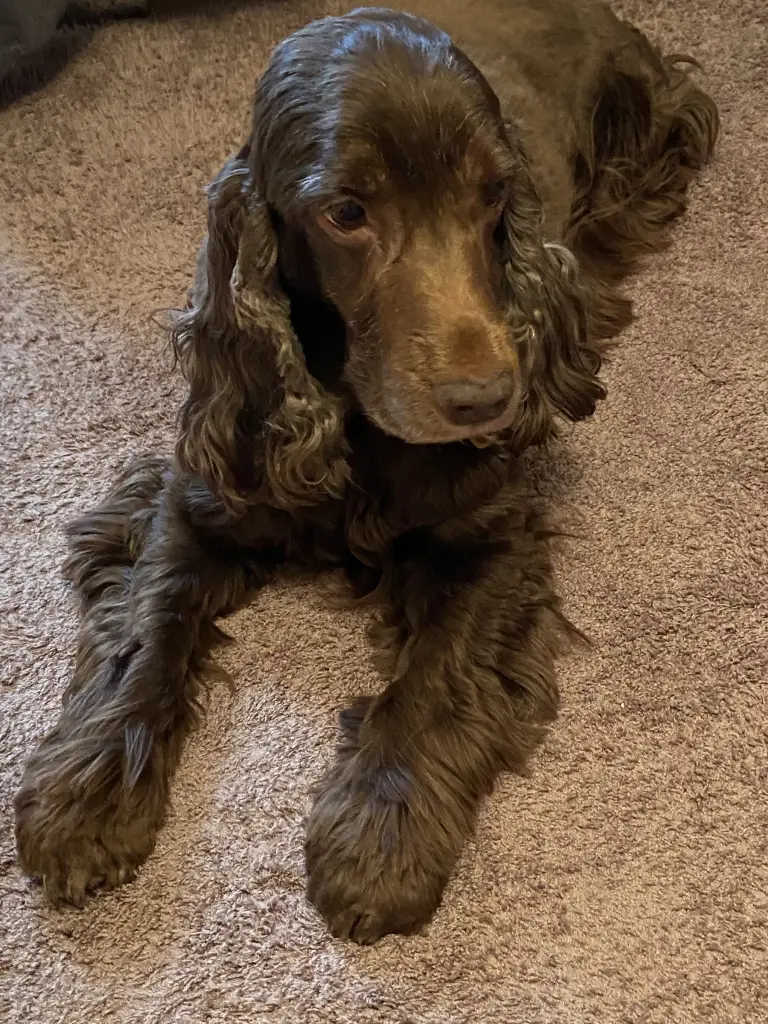 Andachtsbild von Für dich, mein Herz 