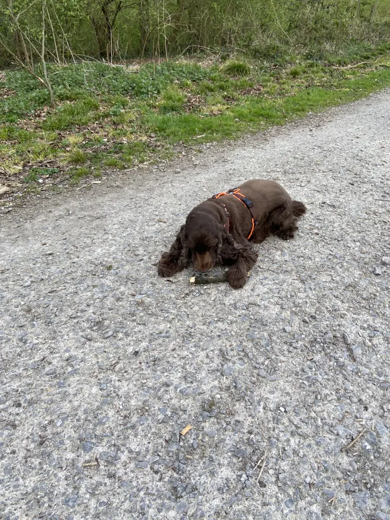 Andachtsbild von Unbekannt