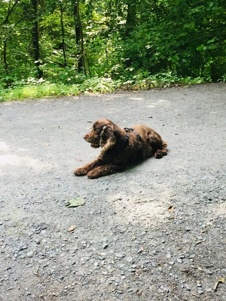 Andachtsbild von Du fehlst 