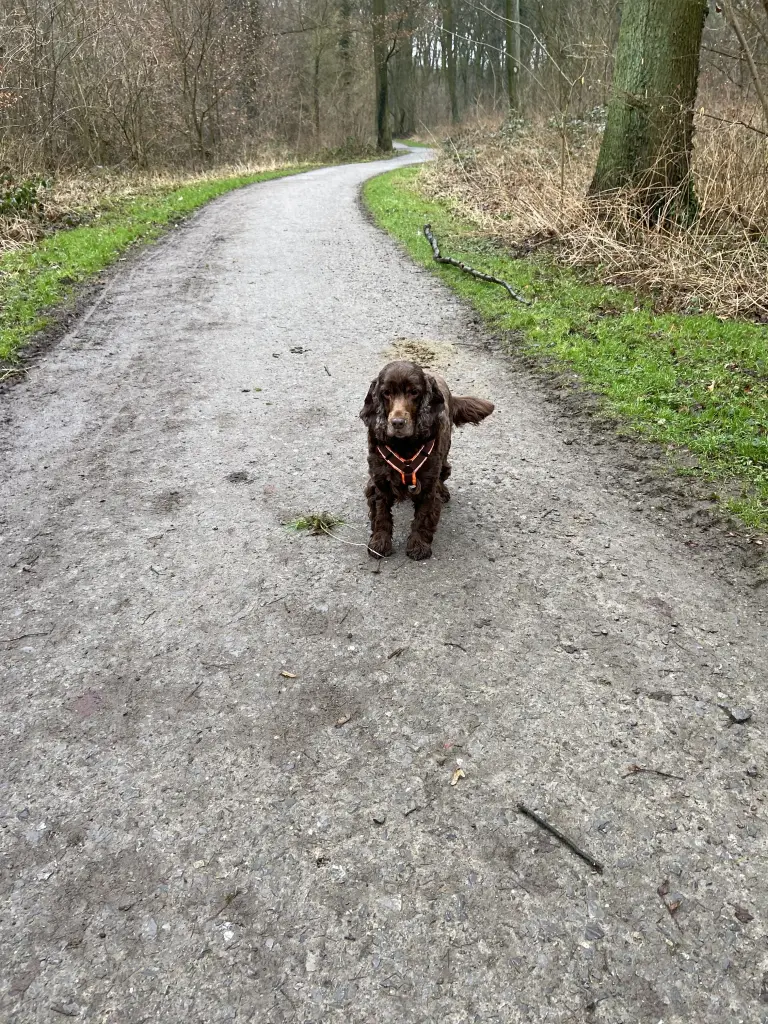 Andachtsbild von Du fehlst so sehr 