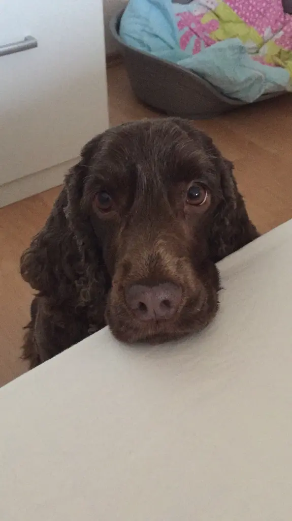 Andachtsbild von Mit dir…