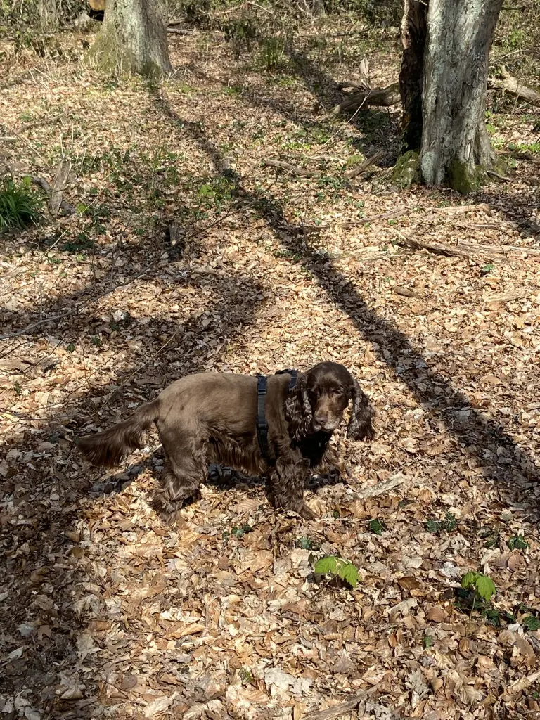 Andachtsbild von In Liebe ❤️