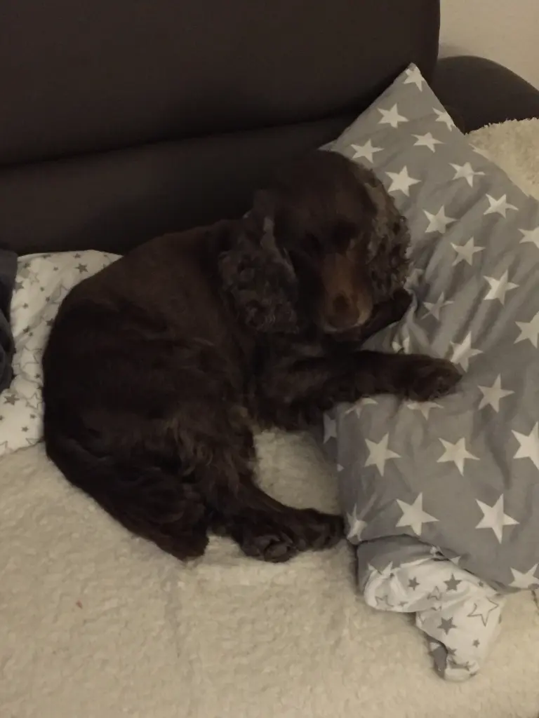 Andachtsbild von ❤️