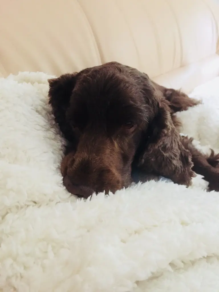 Andachtsbild von MEIN…