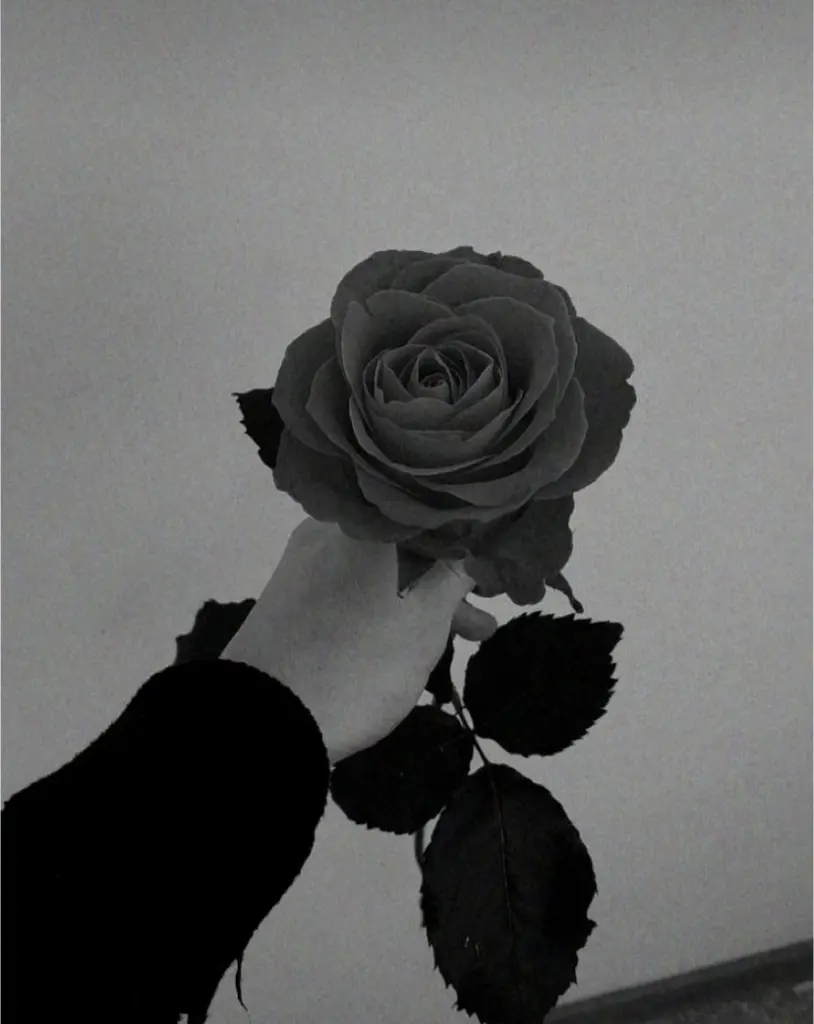 Andachtsbild von Du, mein Prinzelchen…