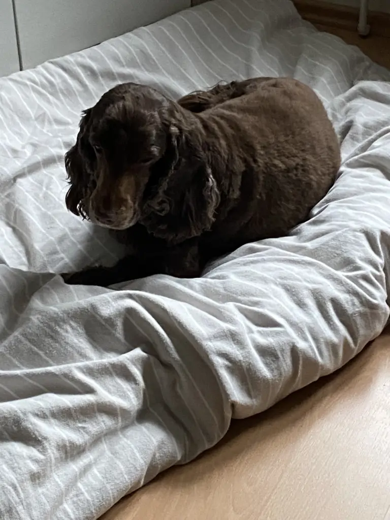 Andachtsbild von Ich liebe dich 