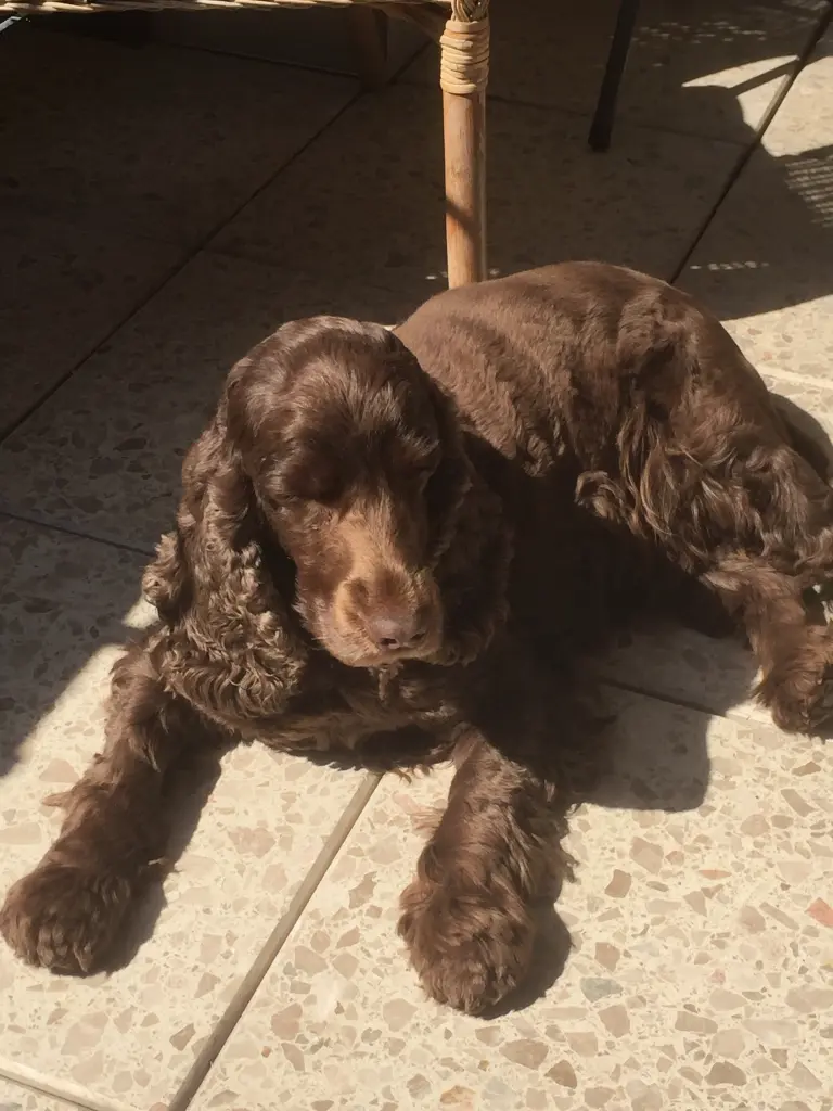 Andachtsbild von Du fehlst ❤️