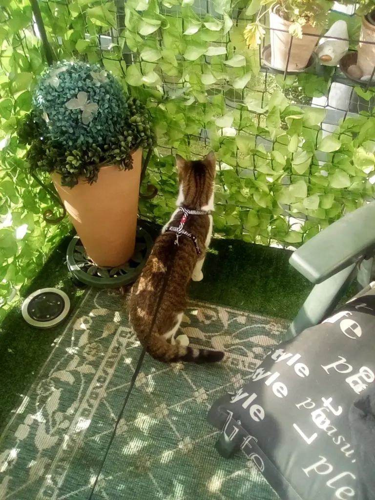 Andachtsbild von Beate und Arne mit Elvis im Herzen ❤