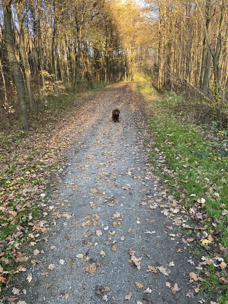 Andachtsbild von ❤️